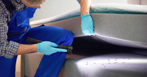 Best Ant Control Services  in Toftrees, PA