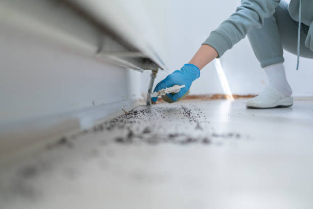Best Wildlife Control Services  in Toftrees, PA
